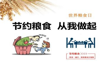 青春节粮心得体会精选5篇