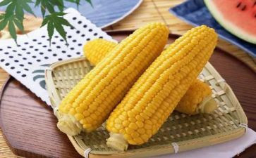 玉米种购销合同参考7篇