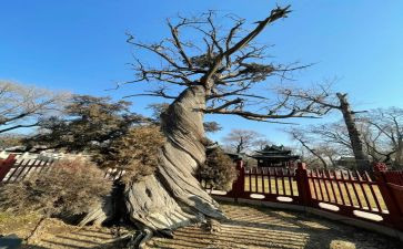晋祠实践总结参考6篇