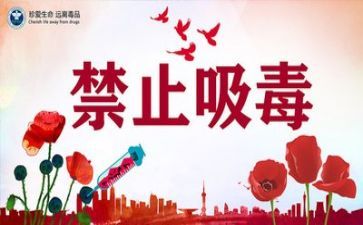 禁毒心得体会作文5篇