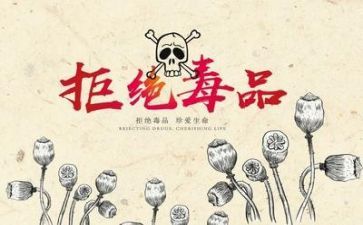 禁毒谈心得体会8篇