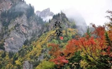 幼儿园节气活动方案6篇
