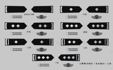 警衔晋升培训心得体会8篇