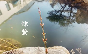 幼儿园惊蛰的教案7篇