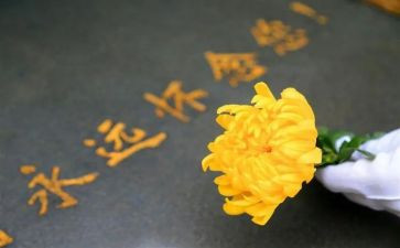 祭扫心得体会6篇