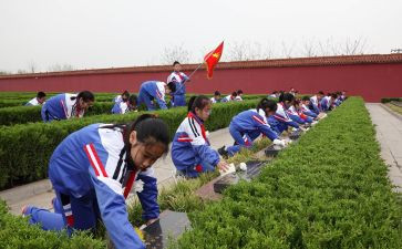 清明节祭扫活动的心得体会8篇