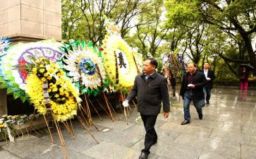 清明祭扫活动方案6篇