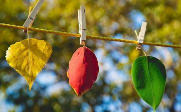 中班九月份的工作总结8篇