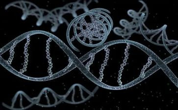 红色基因的心得体会8篇