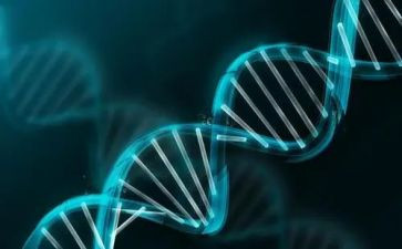 红色基因共传承心得体会优质8篇