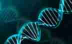 红色基因共传承心得体会优质8篇