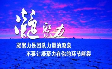 凝聚力的培训心得体会7篇