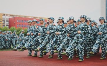 军训的500字心得体会优秀8篇