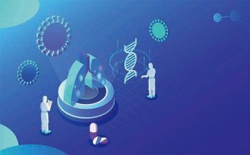 脑科学心得5篇