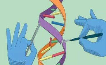 脑科学心得精选8篇