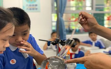 宝宝班科学课教案8篇
