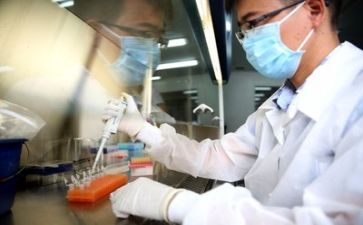 科研岗年终工作总结报告6篇