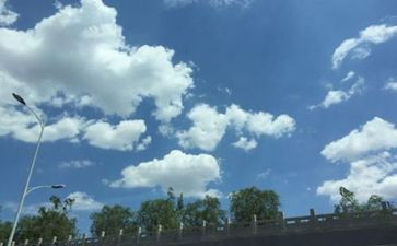 幼儿园找空气的教案精选6篇