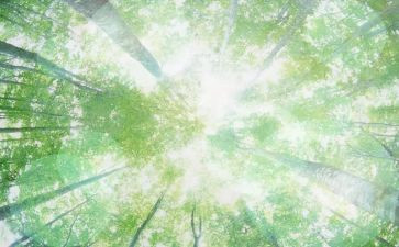 找空气中班教案7篇
