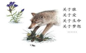 《狼王梦》书的心得体会参考6篇