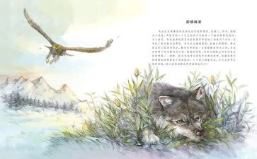 《狼王梦》的心得体会8篇