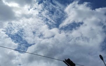 《蓝天下的课桌》读后感7篇