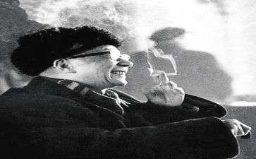 写老舍的骆驼心得体会7篇