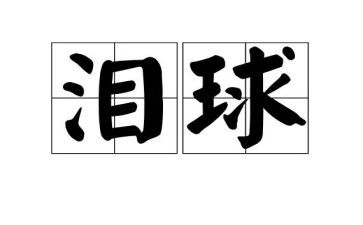 泪与笑的心得体会模板5篇