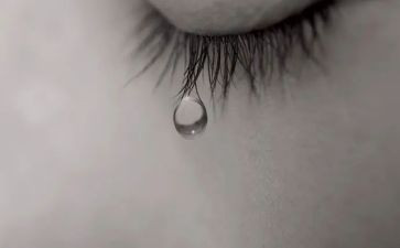 母亲泪读后感400字7篇