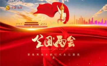 党两会心得体会7篇