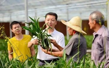 向廖俊波同志学心得体会8篇