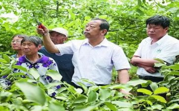 向李保国心得体会7篇