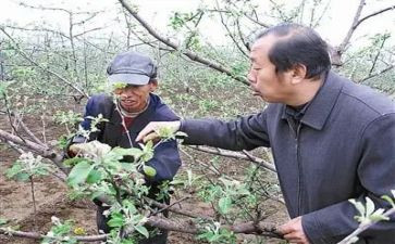 李保国的心得体会7篇