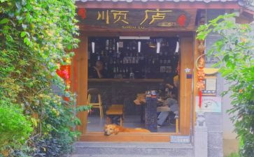 来丽江旅游的心得体会8篇