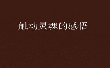 灵魂的作文5篇