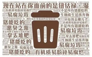 关于垃圾分类活动总结5篇