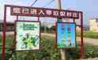 垃圾分类宣传主题活动方案8篇