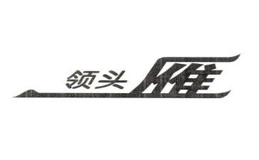 培训好领头雁心得体会6篇