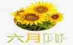 六月的讲话稿8篇