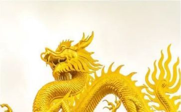 恐龙来了幼儿园教案6篇