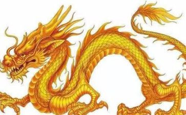 龙舟的心得体会8篇