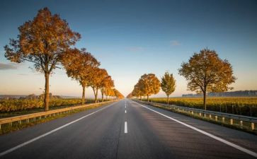 高速公路收费员工作总结5篇