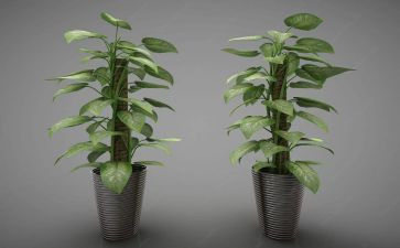 园林绿化的个人年终总结5篇