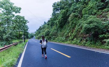 旅行鸽演讲稿7篇