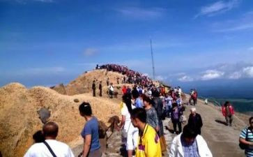 关于旅游的调研报告7篇