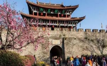 关于旅游的调查报告8篇