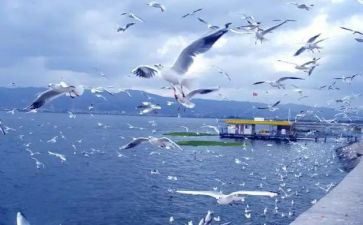 旅游企业工作计划5篇