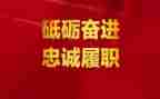 语文履职工作总结范文8篇