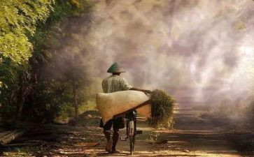 《卖米》的读后感8篇