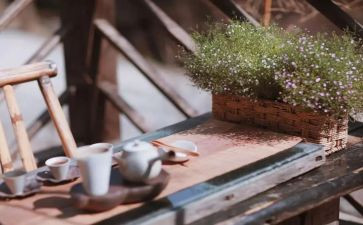 快生活慢生活作文推荐8篇